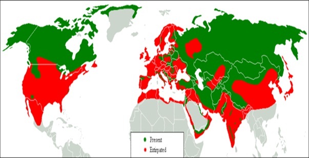 Περιγραφή: Αρχείο:Wolf distr.gif
